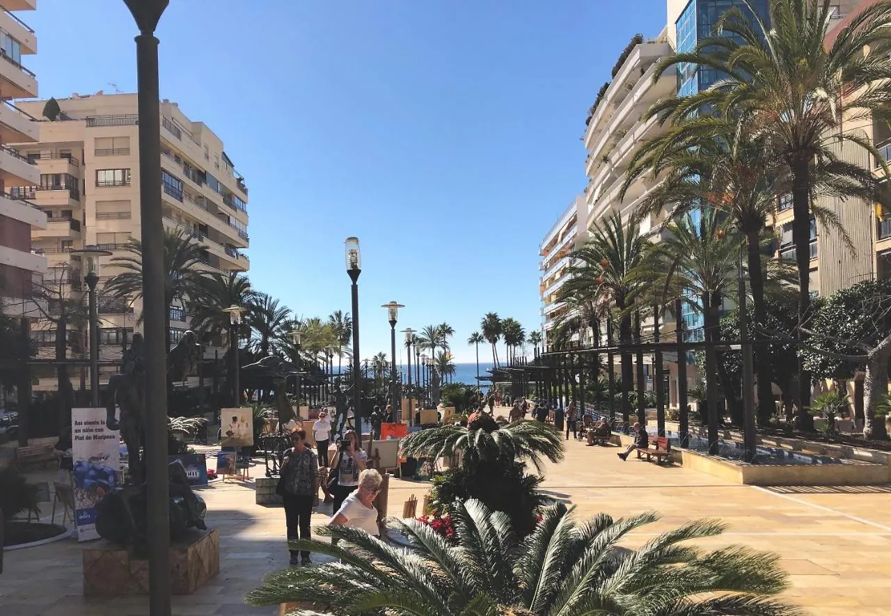 Beach Front Apartment-1St Line contacts